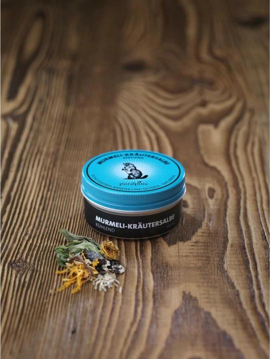 Image du produit Puralpina Pommade aux herbes Murmeli (1 x, 100 ml, 100 g)