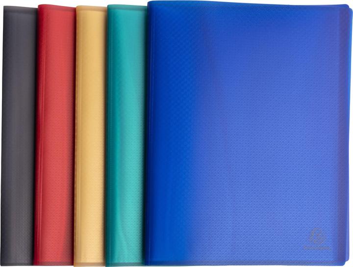 Actual product image Exacompta Opaque display folder (A4, 5x)