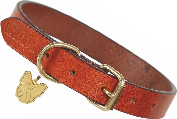 Image du produit Digby & Fox - Collier pour chiens (M, Chien)