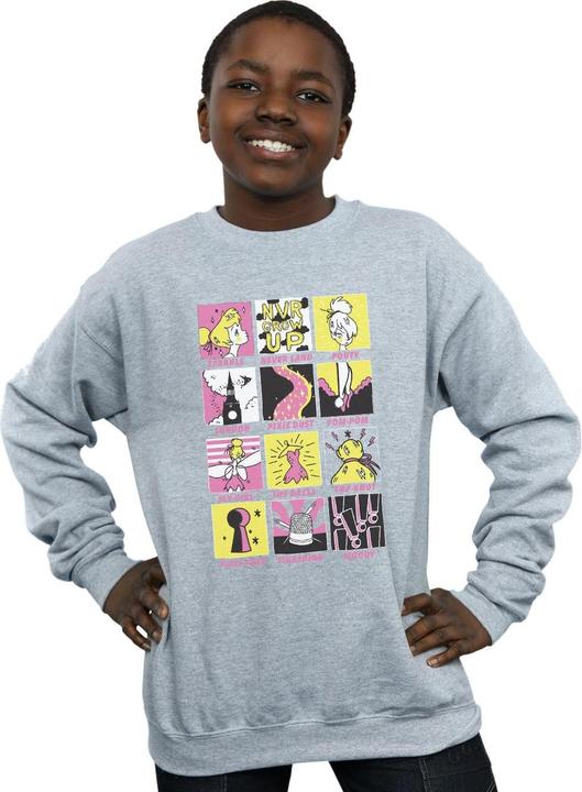 Actual product image Disney Boys Tinkerbell Squares Sweatshirt (140, 146)