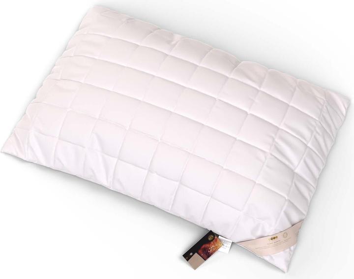 Image du produit Erzstef Objecta Oreiller cuit (65 x 65 cm)