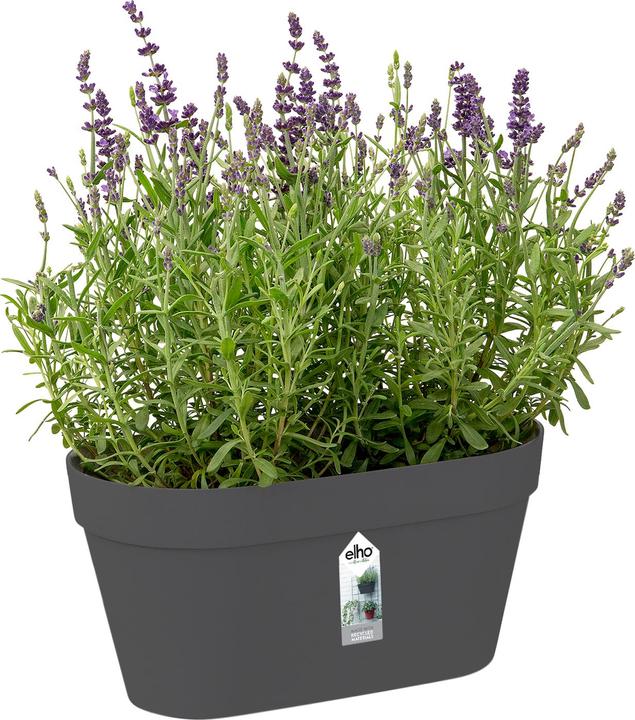 Produktbild Elho Loft Urban Green duo (28 cm)