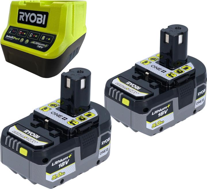Actual product image Ryobi RY18CS20A 18 V ONE+ cordless chainsaw 20 cm Compact + 2x battery 5.0 Ah + charger (Battery chain saw)