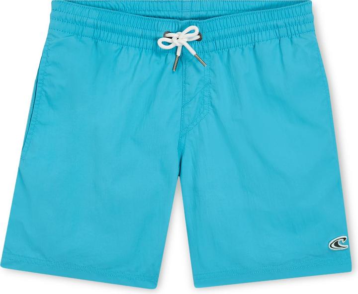 Produktbild O'Neill VERT 14" SWIM SHORTS