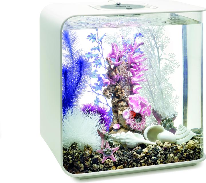 Actual product image Oase biOrb Aquarium 30 Decor Set