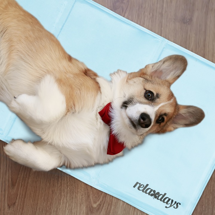 Image du produit Relaxdays Tapis de refroidissement (Chien)