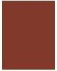 Actual product image Sisley Phyto Lèvres Perfect 06 Chocola (06 Chocolat)