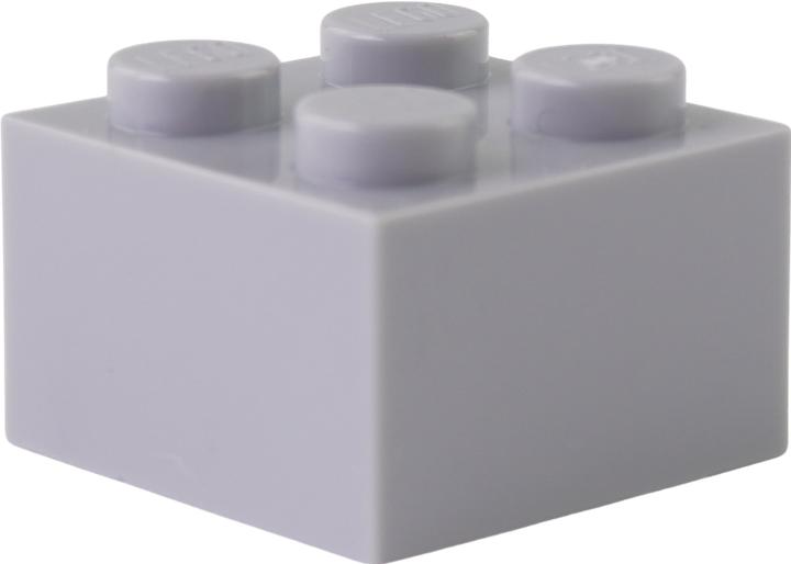 Actual product image LEGO 2x2 Bricks Light grey - 100 pieces - Light bluish grey bricks 3003 (3003, LEGO Accessories)