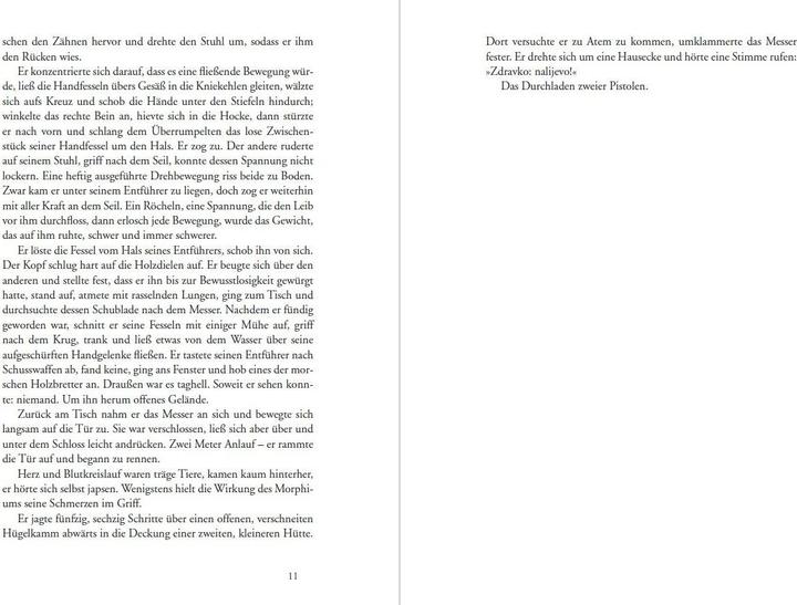 Produktbild Rattenlinien (Deutsch, Martin von Arndt, 2016)