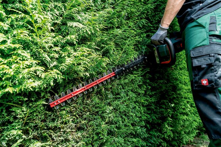 Image du produit Metabo HS 18 LTX BL 65 (Taille-haies sans fil)