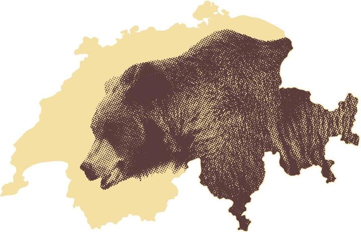 Immagine prodotto Orsino Maglietta Unisex Orso Svizzero (XS)