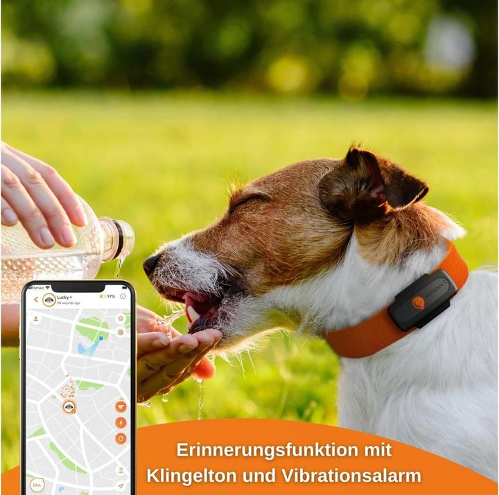 Actual product image Weenect GPS tracker (XS, Dog)