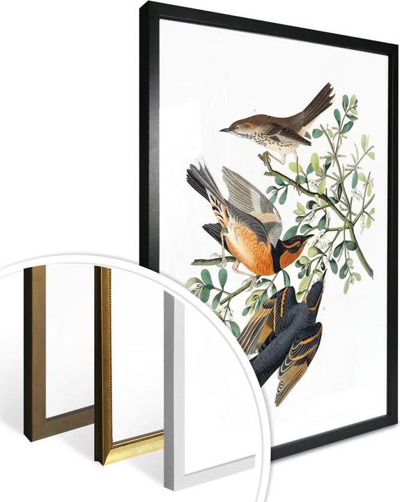 Immagine prodotto Trenddeko Tre strozzatori (40 x 50 cm)