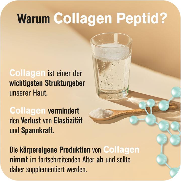 Produktbild All Stars Collagen Peptides (1 Stück, Pulver, 300 g)
