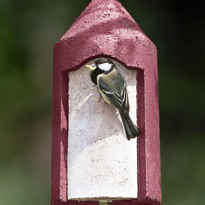 Immagine prodotto Schwegler Foro del nido