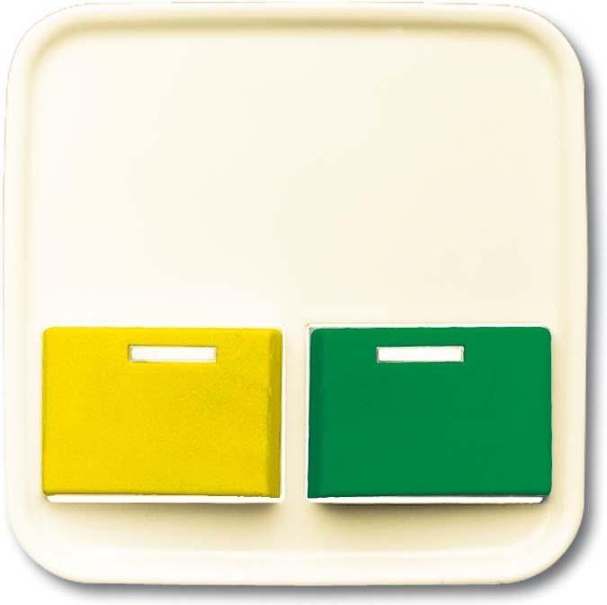 Actual product image Busch-Jaeger Centre plate 2CKA001724A4419