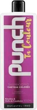 Produktbild Subtil Ducastel Duc Punch Your Color Shampoo 500ml (500 ml, Flüssiges Shampoo)