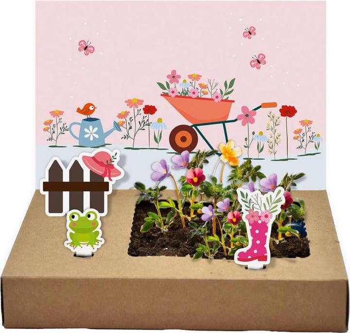 Produktbild Wunderle Mini-Garten Blütenpracht (1x)