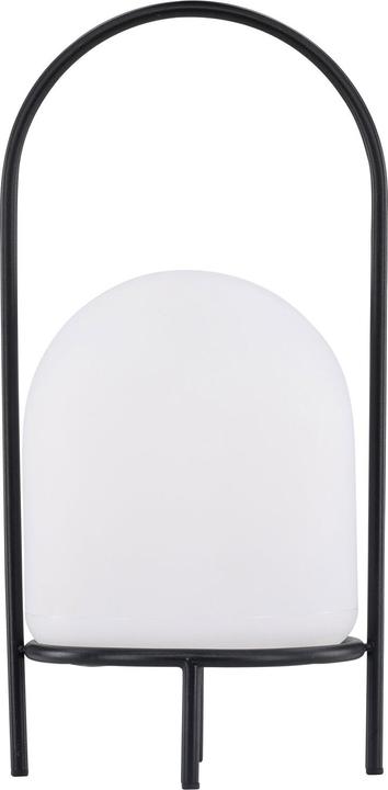 Image du produit Venture Home Colie (300 lm)