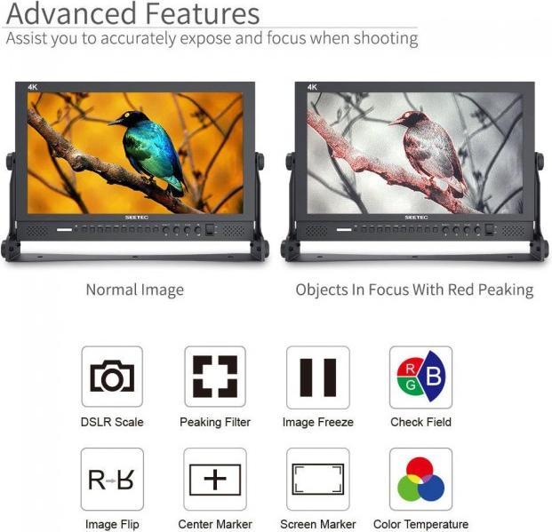 Produktbild Seetec monitor P173-9HSD 17.3" (17.30", Full HD)