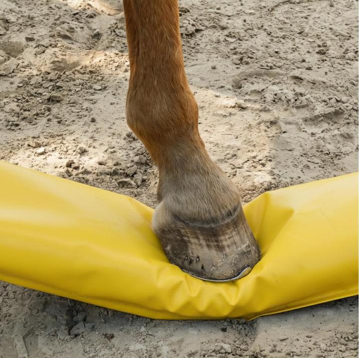 Actual product image Dönges Horse lane à 300 x 17 x 10 cm, yellow