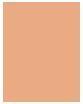 Image du produit Max Factor Fond de teint visage Facenity Compact Spf20 040 10G (040 Ivoire crémeux)