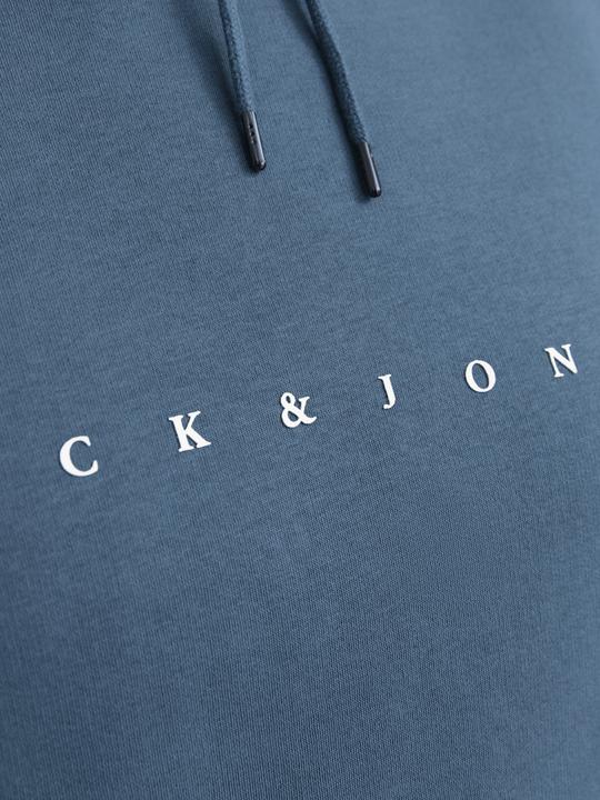 Actual product image Jack & Jones Jjestar Jj Sweat Hood Noos Pls (6XL)