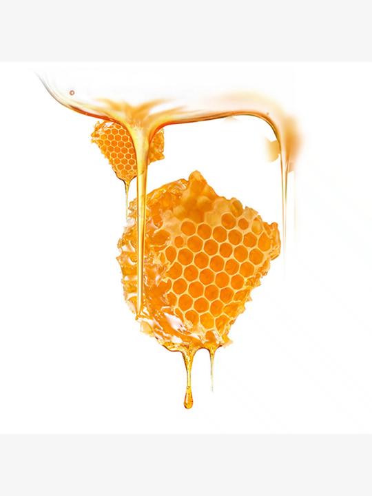 Produktbild Foreo Manuka Honey (36 ml)