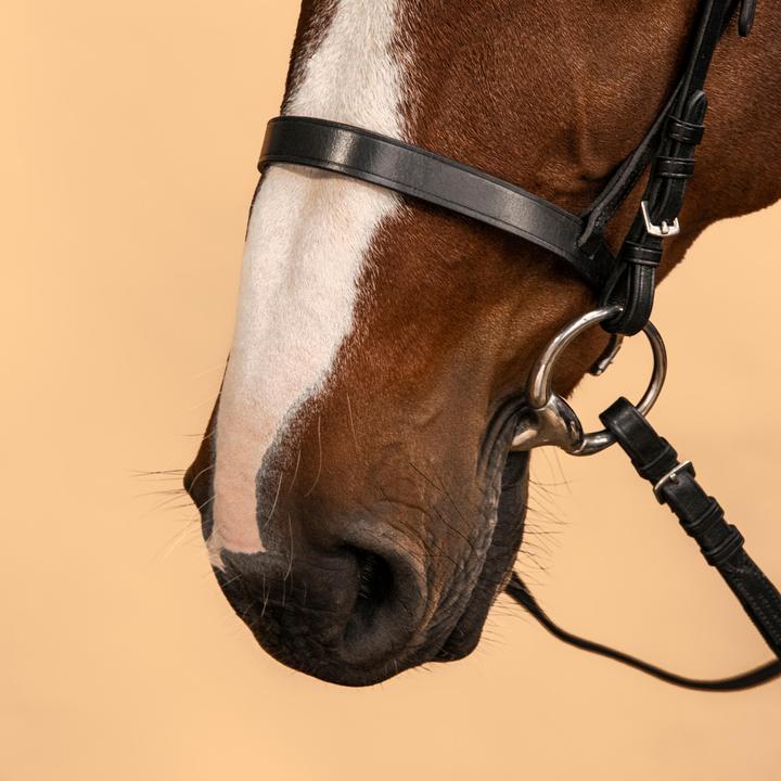 Actual product image Fouganza Snaffle Schooling Leather