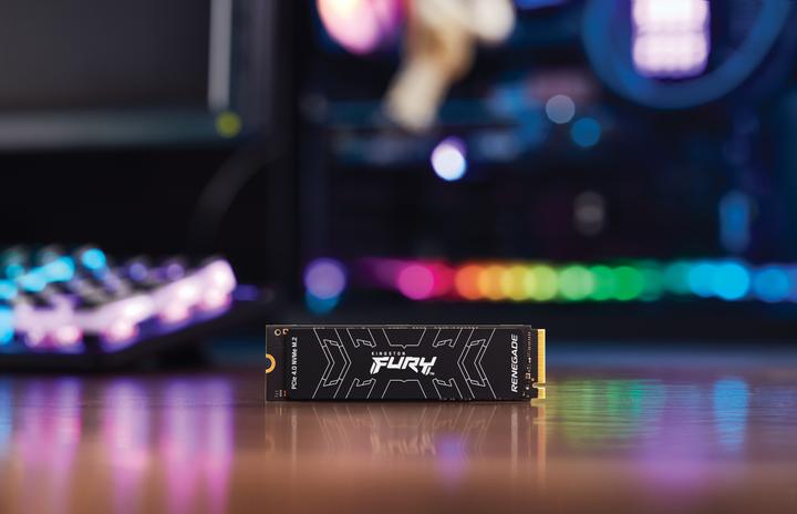 Image du produit Kingston FURY Renegade (1000 Go, M.2 2280)