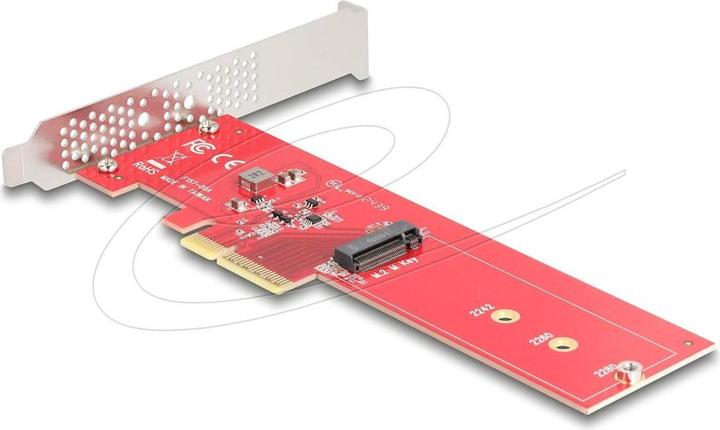 Immagine prodotto Delock Scheda PCI Express 5.0 x4