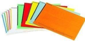 Produktbild Dymo Etiketten für Hängemappen, sortiert 10 Bögen à 25 Etiketten im Blister, Vordereseite weiss