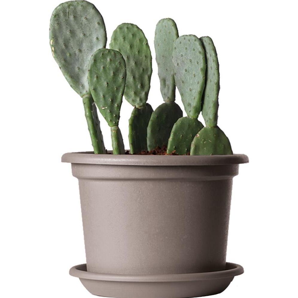 Thumbnail - Euro 3 plast, Blumentopf Zubehör, Guya Blumentopf mit Untersetzer Medea in rund aus recyceltem Kunststoff (25 cm, Taupe)