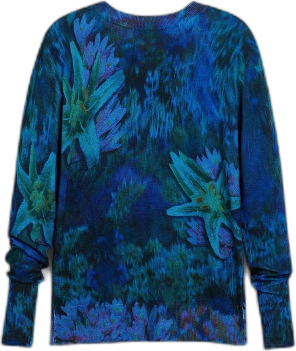 Actual product image Desigual Suecia (S)