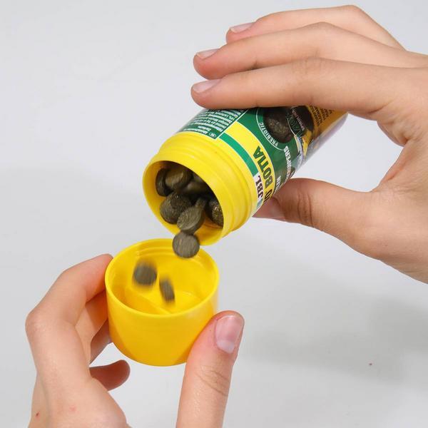 Actual product image JBL Aquaristik und Terraristik ProNovo BOTIA TAB M 1000ml (Ornamental Fish, 1000 ml)