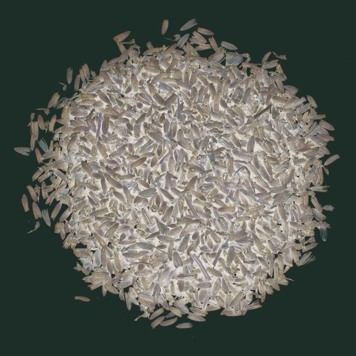 Image du produit Glorex Fleurs