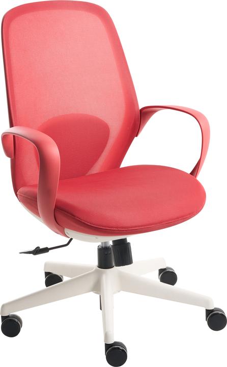 Actual product image Beliani Foama (44 - 54 cm)