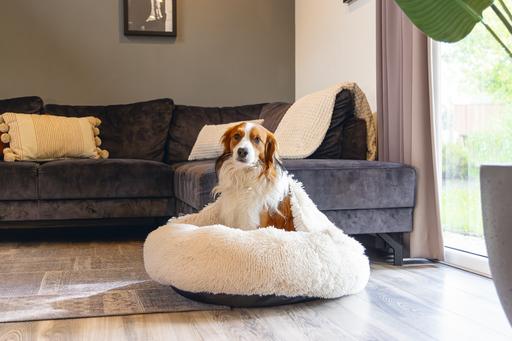 Image du produit Beeztees Hundebett Yala (Chien)