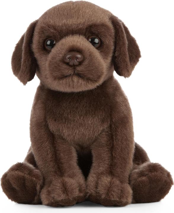 Image du produit Living Nature Chocolat Labrador chiots (16 cm)