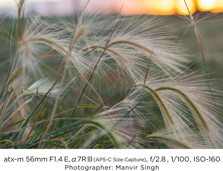 Image du produit Tokina AT-X M 56 mm f/1.4 Sony E (Sony E, APS-C / DX)