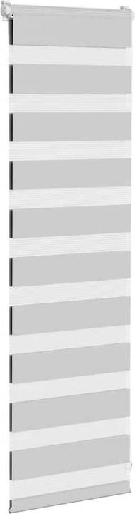 Produktbild vidaXL Zebra-Jalousie (45 x 100 cm)