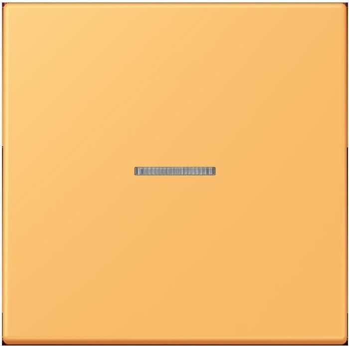 Produktbild JUNG Wippe 1fach m. Lichtleiter