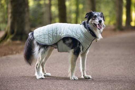 Produktbild Beeztees Bz Hund Mantel Bobby Taupe 52 (52, Hundemantel)