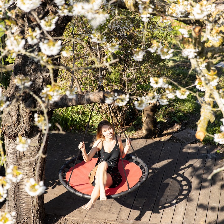 Actual product image Relaxdays 120 cm Nest Swing