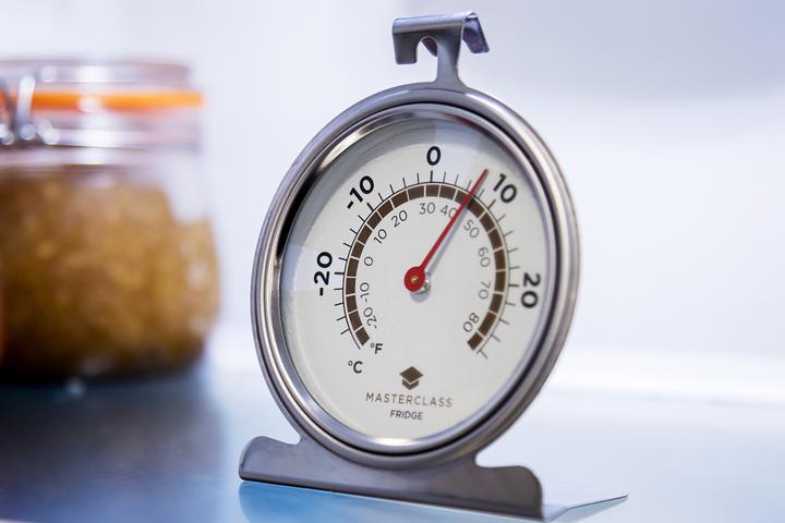 Actual product image Master Class Fridge thermometer