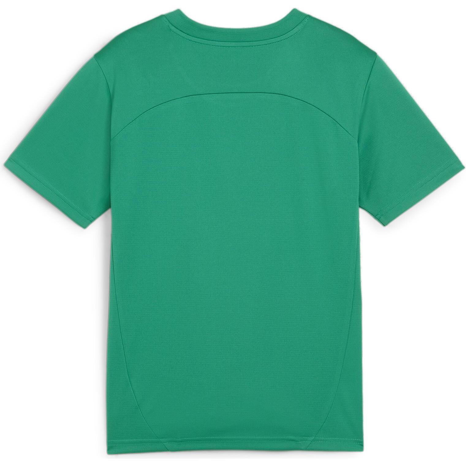 Puma, Jungen, Sportshirt, teamFINAL Training Jersey Jr (140), Grün, 140