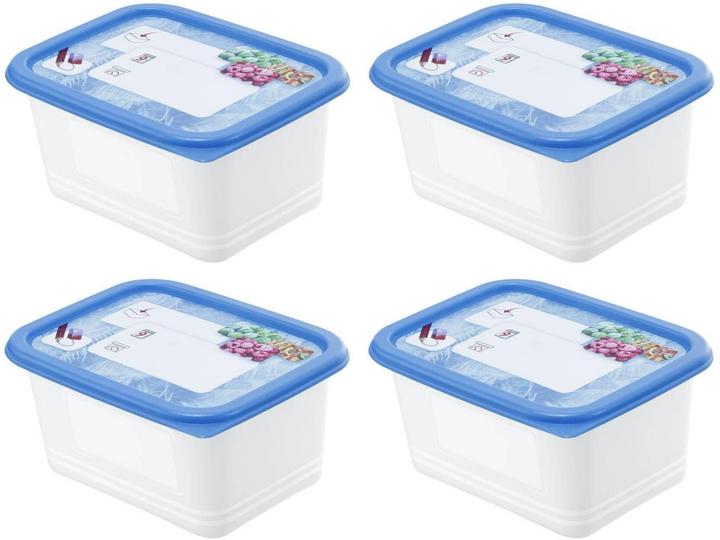 Actual product image Rotho Freezer cans (0.75 l)