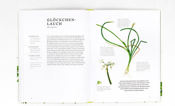 Image du produit Essbare Wildpflanzen (Allemand, Crabe Wiebke, Liz Knight, Rachel Pedder-Smith, 2021)