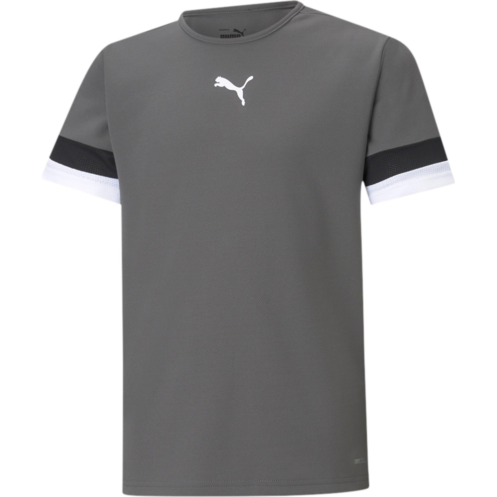 Puma, Jungen, Sportshirt, teamRISE Jersey Jr-704938 (128), Grau, 128