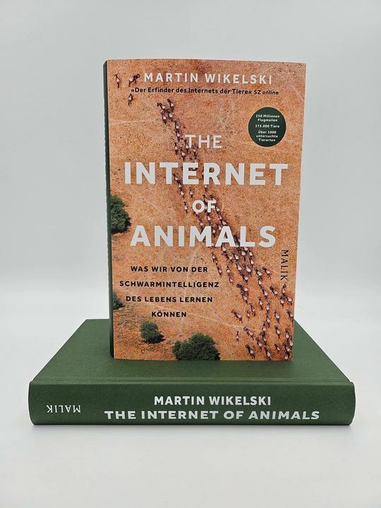 Produktbild The Internet of Animals: Was wir von der Schwarmintelligenz des Lebens lernen können (Deutsch, Martin Wikelski, 2024)